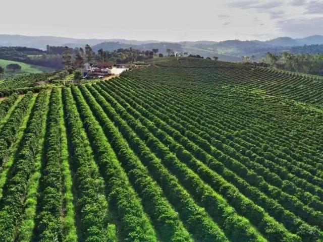Fazenda venda em Região Geográfica Imediata de Alfenas, Carvalhópolis