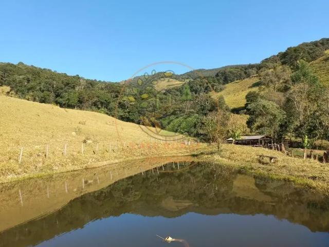 Fazenda venda em Região Geográfica Imediata de Caxambu - Baependi, Carvalhos