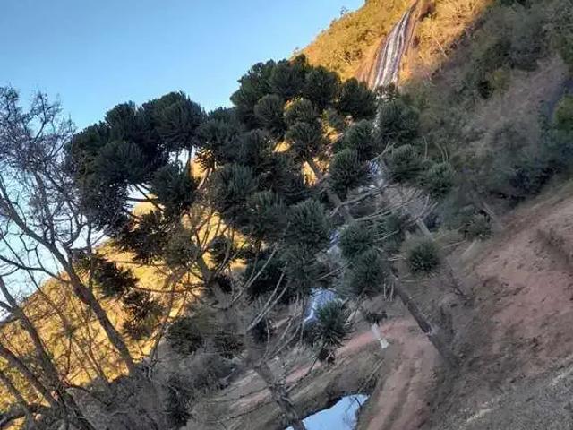 Fazenda venda em Região Geográfica Imediata de Caxambu - Baependi, Carvalhos