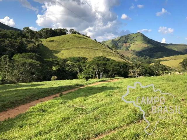 Fazenda venda em Região Geográfica Imediata de Caxambu - Baependi, Carvalhos