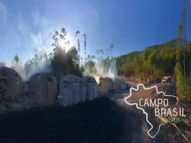 Fazenda venda em Região Geográfica Imediata de Caxambu - Baependi, Carvalhos