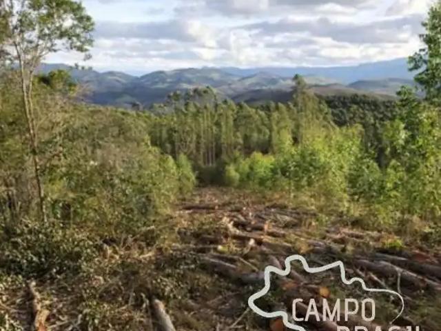 Fazenda venda em Região Geográfica Imediata de Caxambu - Baependi, Carvalhos