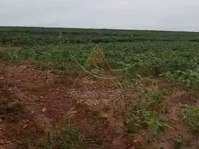 Fazenda venda em Região Imediata de São João da Boa Vista, Casa Branca