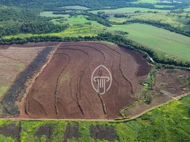 Fazenda venda em Região Geográfica Imediata de Cascavel, Cascavel