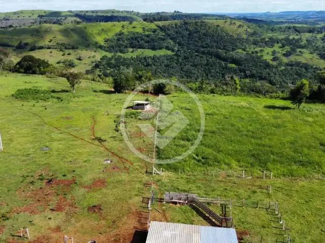 Fazenda venda em Região Geográfica Imediata de Cascavel, Cascavel