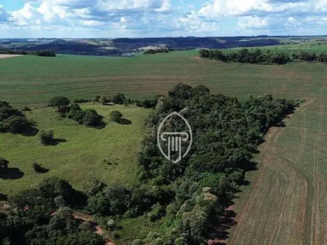 Fazenda venda em Região Geográfica Imediata de Cascavel, Cascavel