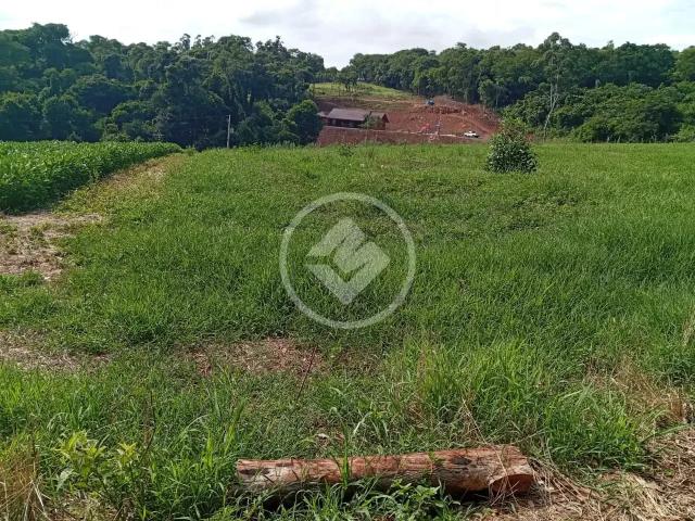 Fazenda venda em Região Geográfica Imediata de Cascavel, Cascavel