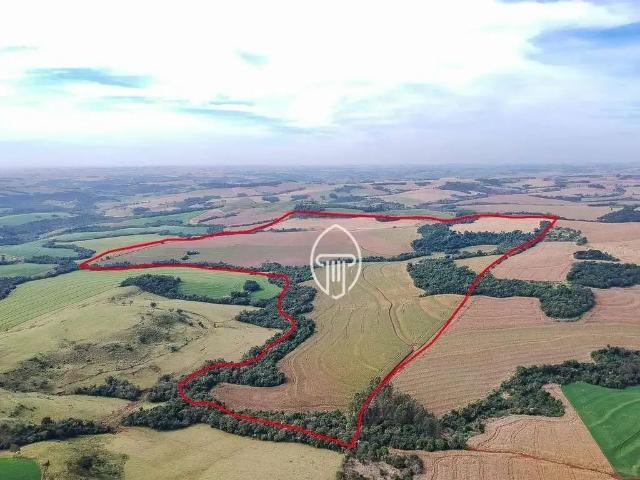Fazenda venda em Região Geográfica Imediata de Cascavel, Cascavel