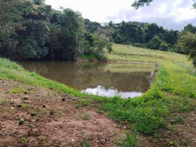 Sítio e chácara venda em Região Imediata de Ribeirão Preto, Região Metropolitana de Ribeirão Preto