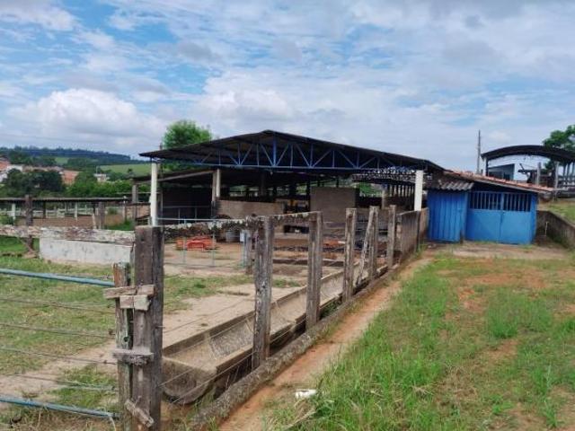 Sítio e chácara venda em Cássia dos Coqueiros, Região Geográfica Intermediária de Ribeirão Preto