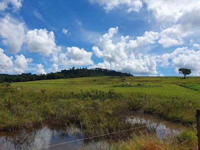 Sítio e chácara venda em Região Imediata de Ribeirão Preto, Região Metropolitana de Ribeirão Preto