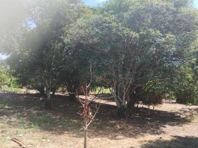 Sítio e chácara venda em Região Imediata de Ribeirão Preto, Região Metropolitana de Ribeirão Preto