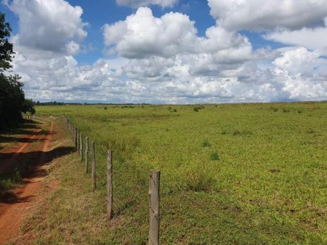 Sítio e chácara venda em Cássia dos Coqueiros, Região Geográfica Intermediária de Ribeirão Preto