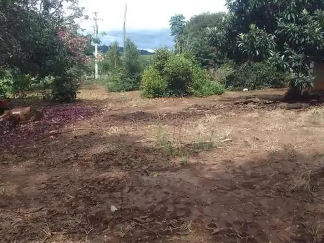 Fazenda venda em Região Imediata de Ribeirão Preto, Região Metropolitana de Ribeirão Preto
