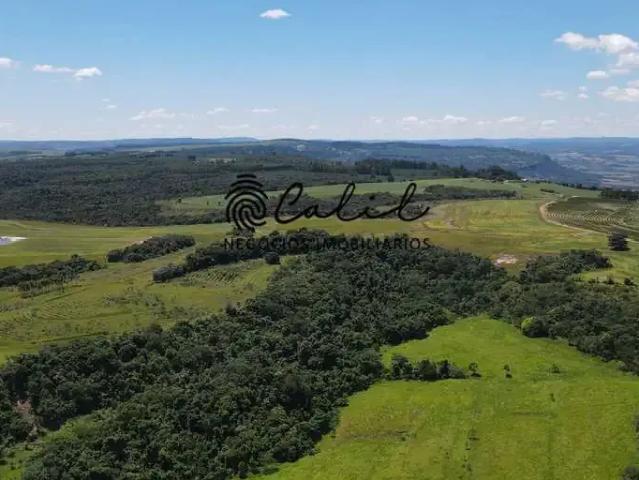 Fazenda venda em Região Imediata de Ribeirão Preto, Região Metropolitana de Ribeirão Preto