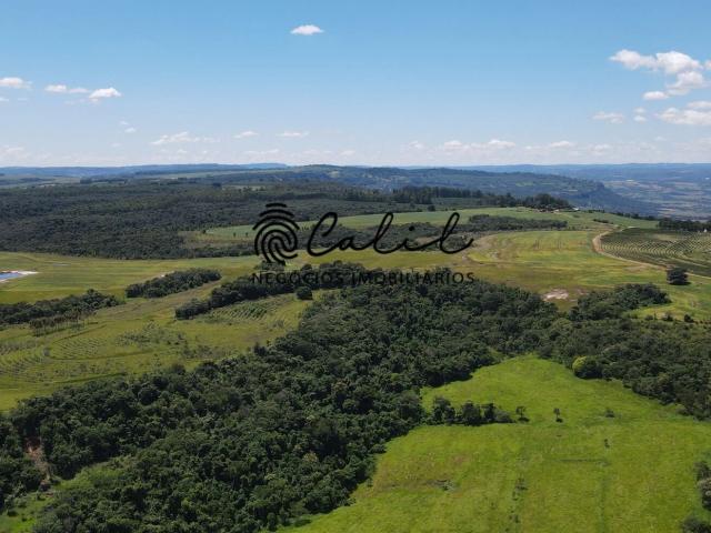 Fazenda venda em Cássia dos Coqueiros