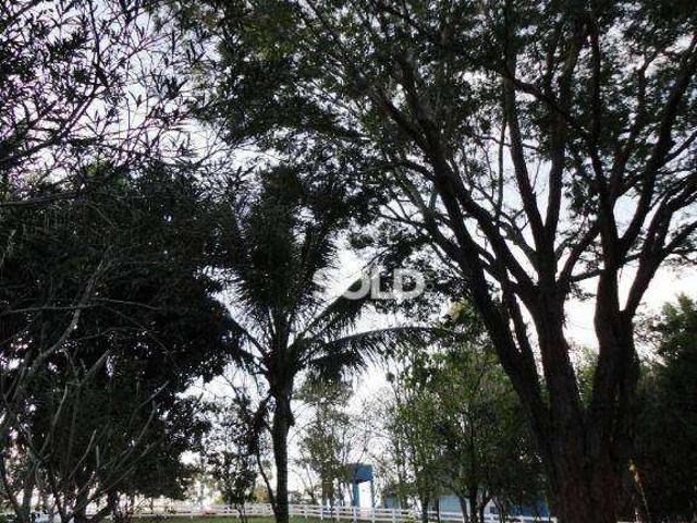 Fazenda venda em Cocais, Bom Jesus do Amparo