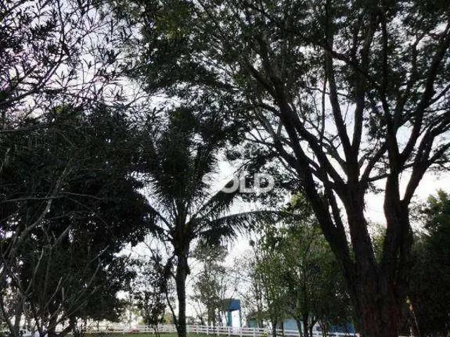 Fazenda venda em Região Geográfica Imediata de Itabira, Bom Jesus do Amparo
