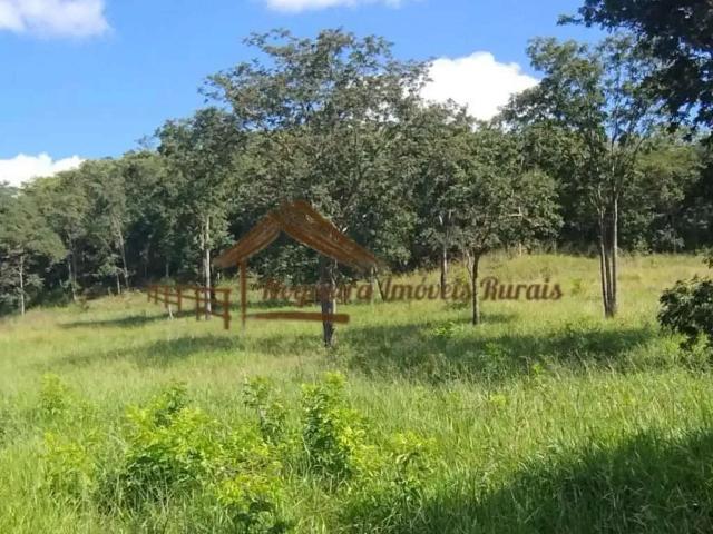 Fazenda venda em Região Geográfica Imediata de Paranaíba - Chapadão do Sul - Cassilândia, Cassilândia