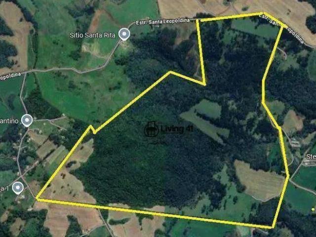Fazenda venda em Região Geográfica Imediata de Apucarana, Bom Sucesso