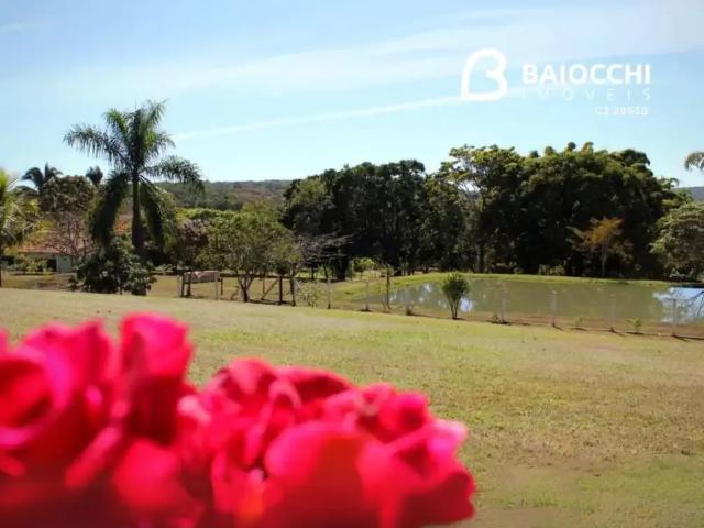 Fazenda venda em Região Geográfica Imediata de Catalão, Catalão