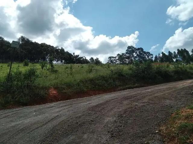 Fazenda venda em Região Geográfica Imediata de Santa Bárbara - Ouro Preto, Catas Altas