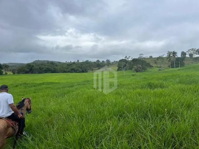Fazenda venda em Região Geográfica Imediata de Salvador, Região Metropolitana de Salvador