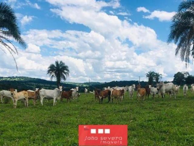 Sítio e chácara venda em Região Geográfica Imediata de Goiânia, Caturaí