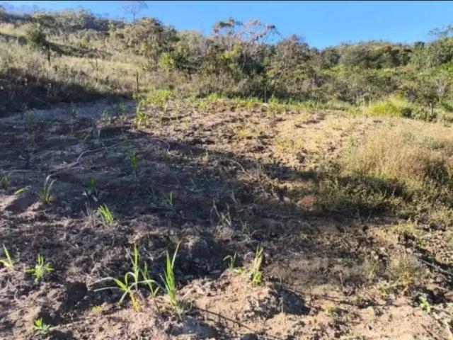 Fazenda venda em Região Geográfica Imediata de Flores de Goiás, Cavalcante