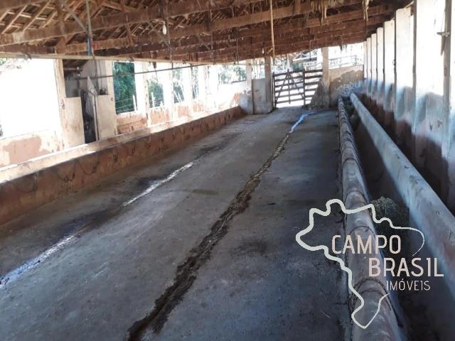 Fazenda venda em Parque Real, Pouso Alegre