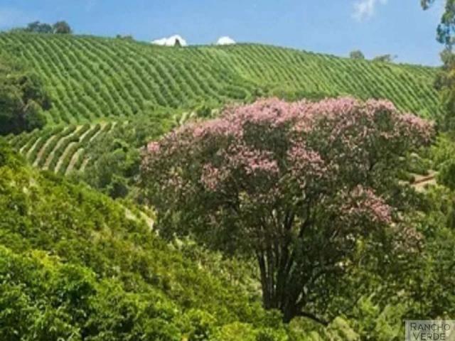 Fazenda venda em Região Geográfica Imediata de Caxambu - Baependi, Caxambu