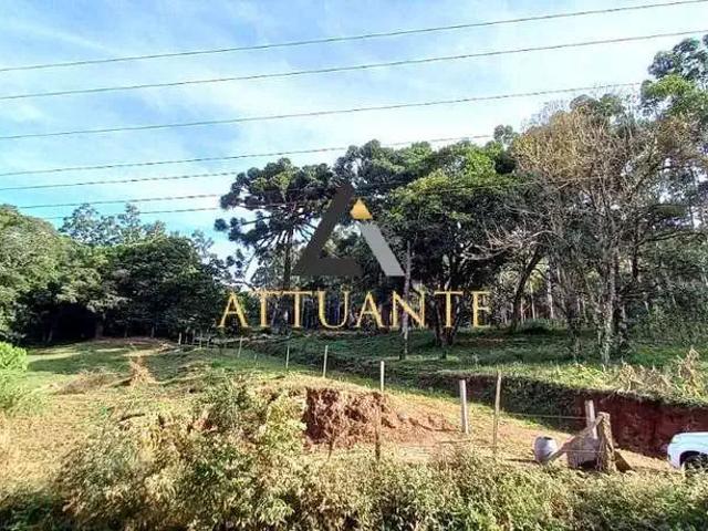 Fazenda venda em Região Geográfica Imediata de Caxias do Sul, Caxias do Sul