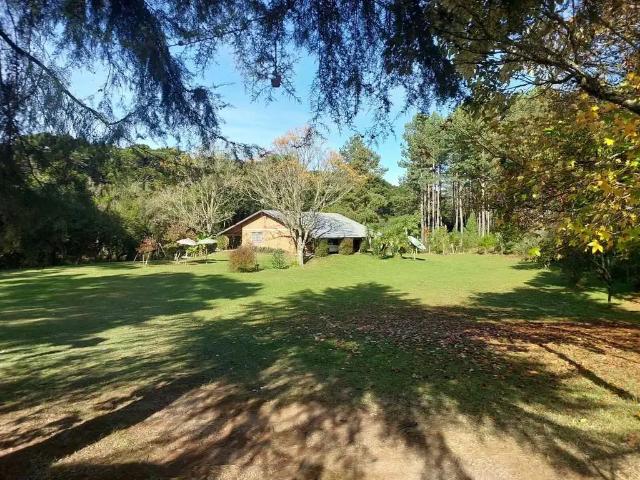Fazenda venda em Fazenda Souza, Caxias do Sul