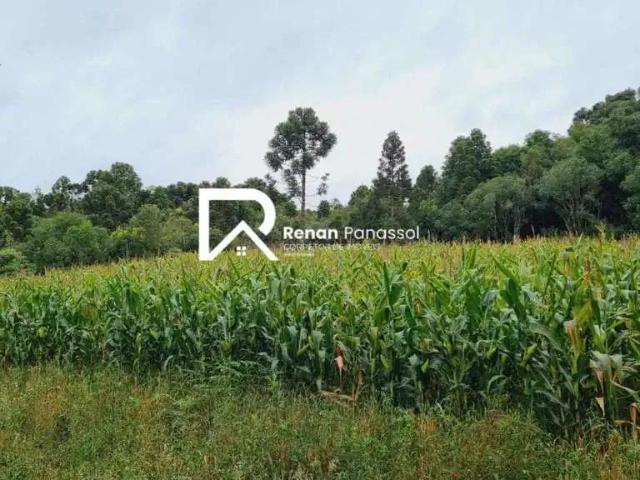Fazenda venda em Região Geográfica Imediata de Caxias do Sul, Caxias do Sul