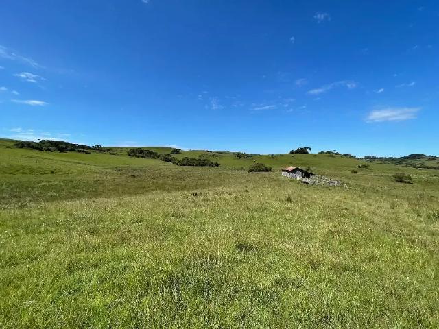 Fazenda venda em Caxias do Sul, Rio Grande do Sul