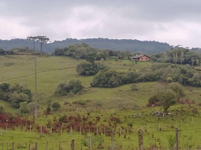Fazenda venda em Caxias do Sul, Centro Fazenda venda em Caxias do Sul, Centro