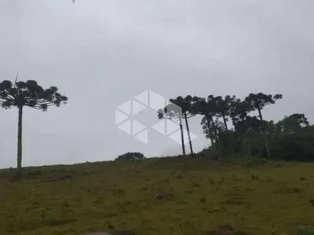 Fazenda venda em Primeiro Distrito, Caxias do Sul