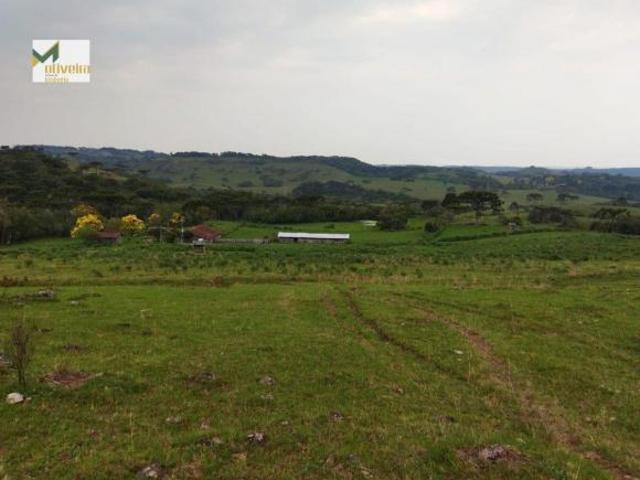 Sítio e chácara venda em Região Geográfica Imediata de Caxias do Sul, São Francisco de Paula