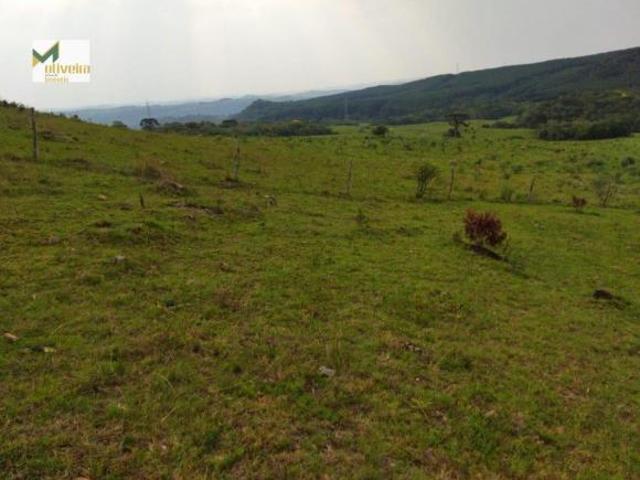 Sítio e chácara venda em Rincão, São Francisco de Paula
