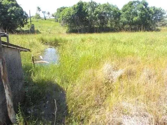 Fazenda venda em Região Geográfica Imediata de Natal, Parnamirim
