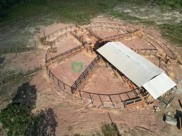 Fazenda venda em Região Geográfica Imediata de Guaraí, Centenário