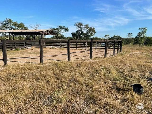 Fazenda venda em Região Geográfica Imediata de Guaraí, Centenário