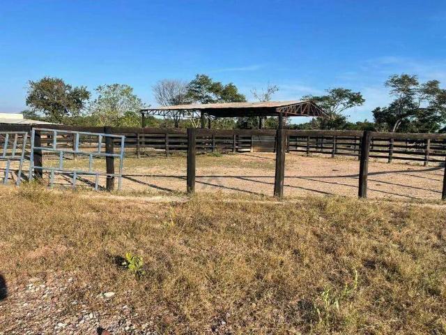 Fazenda venda em Região Geográfica Imediata de Guaraí, Centenário