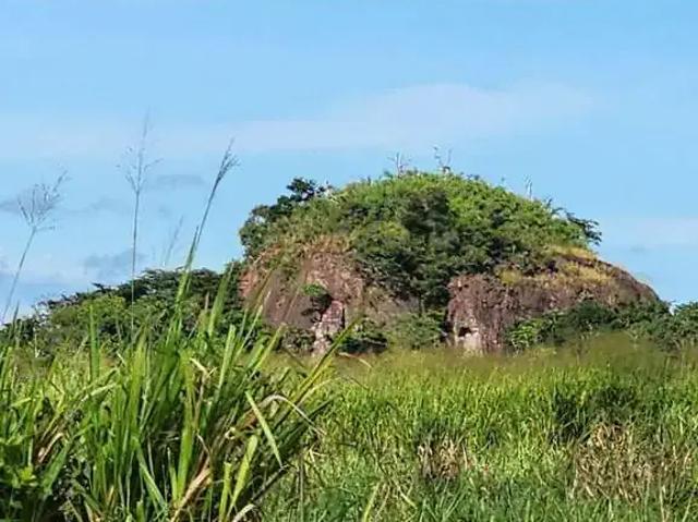 Fazenda venda em Região Geográfica Imediata de Guaraí, Centenário