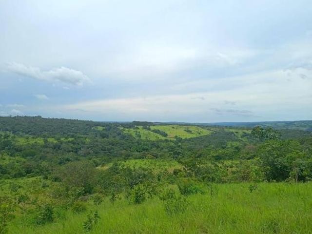 Sítio e chácara venda em Abadiânia, Região Geográfica Intermediária de Goiânia