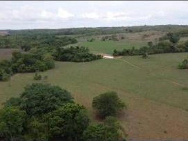 Sítio e chácara venda em Acorizal, Região Geográfica Intermediária de Cuiabá