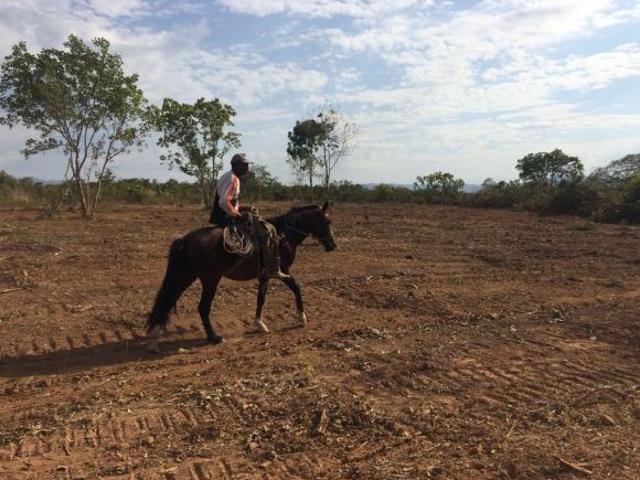 Sítio e chácara venda em Região Geográfica Imediata de Flores de Goiás, Região Integrada de Desenvolvimento do Distrito Federal e Entorno