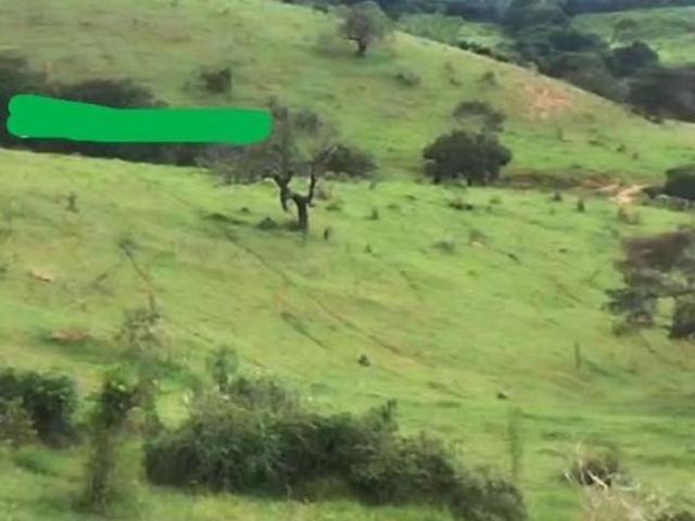 Sítio e chácara venda em Região Geográfica Imediata de Campo Belo, Aguanil