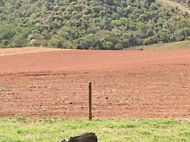 Sítio e chácara venda em Região Geográfica Imediata de Caxambu - Baependi, Aiuruoca
