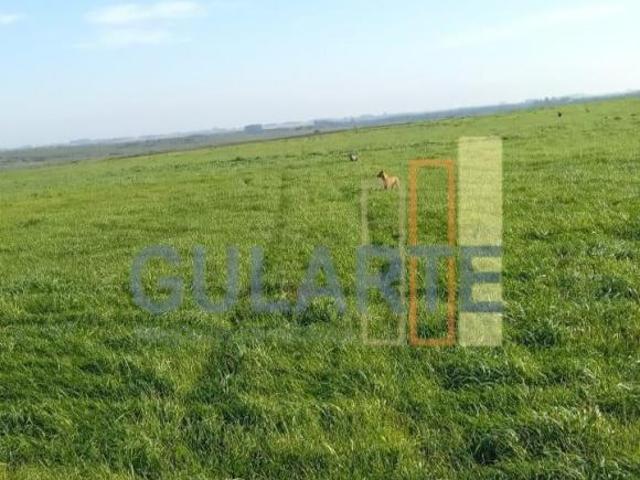Sítio e chácara venda em Região Geográfica Imediata de Uruguaiana, Alegrete
